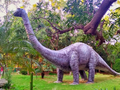 Dinosaur And Fossil Park gandhinagar