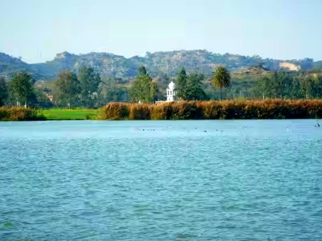 Ropar Wetland, Punjab